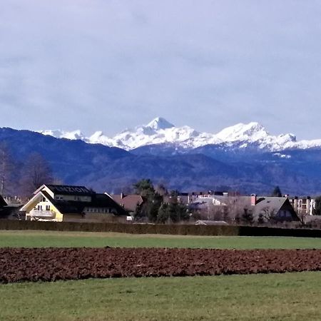 Edelweiss Apartment Radovljica Luaran gambar